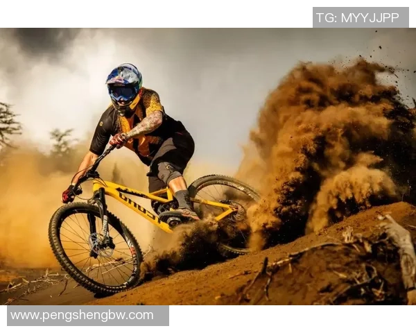 极限运动战术解析：杭州极限运动队的创新运营模式与发展策略